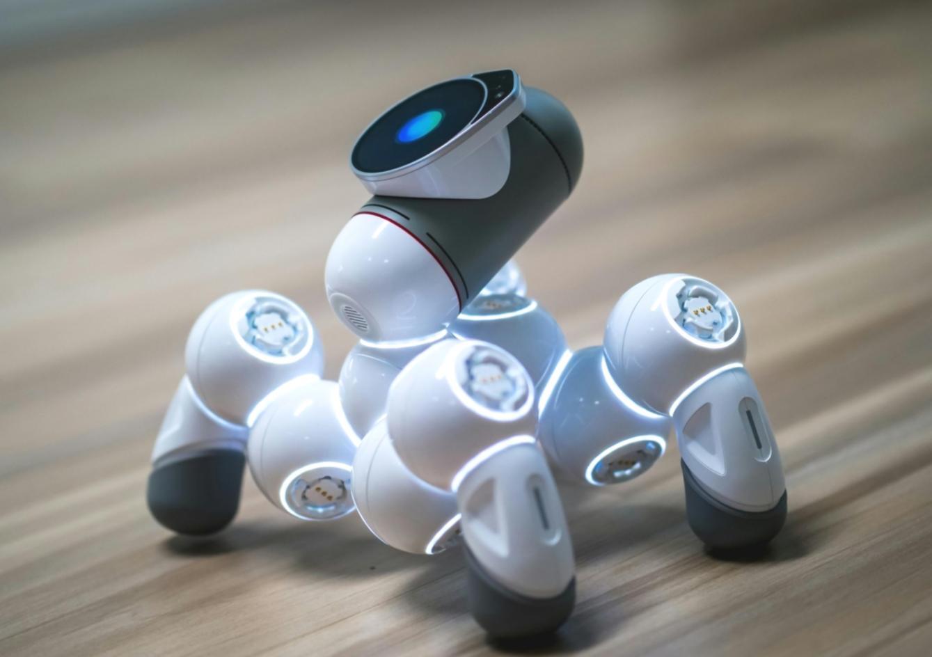 Étudiant suivant une formation en intelligence artificielle agricole